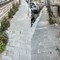 Erbacce in via Puccini. Un cittadino: «Stato di profondo abbandono»