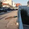 Un pavone a Molfetta