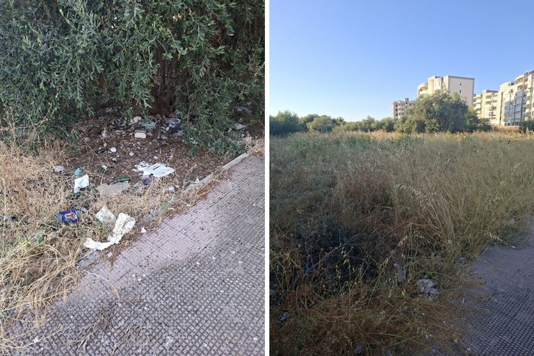 Erba alta e rifiuti davanti all'isola ecologica di Ponente