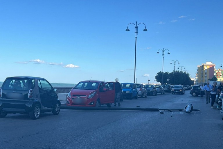 Crolla un palo sul lungomare di Molfetta