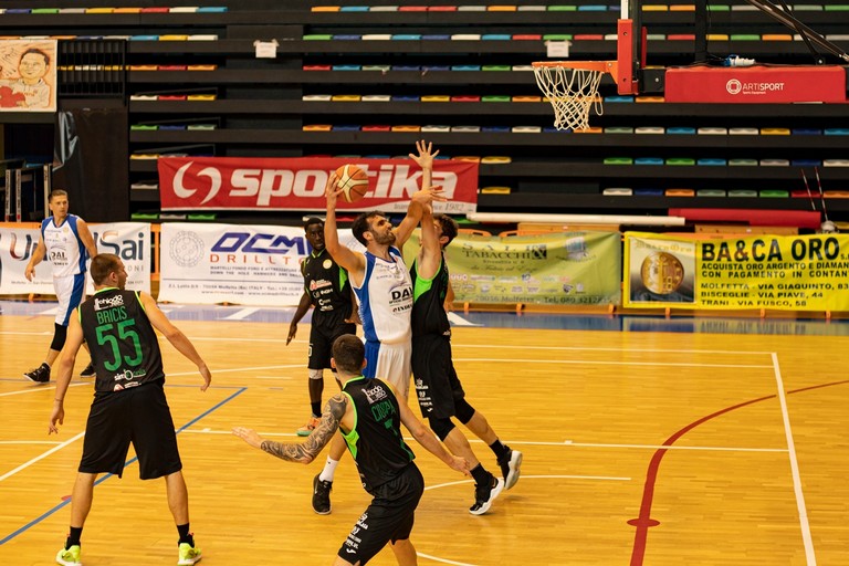 dai optical virtus basket molfetta
