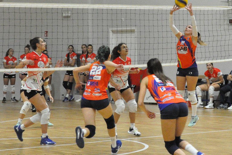 dinamo cab molfetta campionato