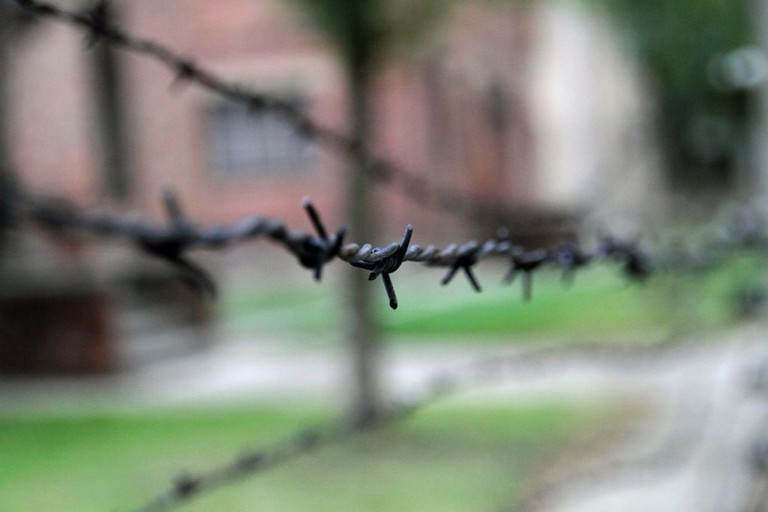 Giornata della Memoria, dall’Olocausto ai venti di guerra: a Molfetta una proposta artistica per riflettere