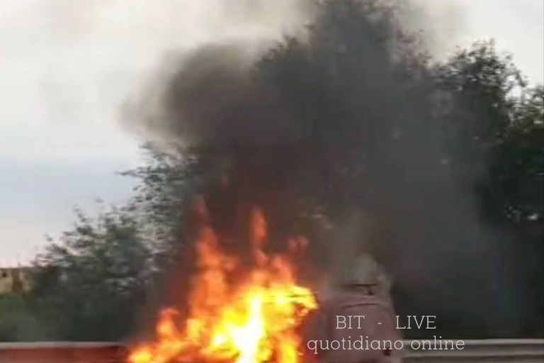 Incendio. <span>Foto Bit live</span>