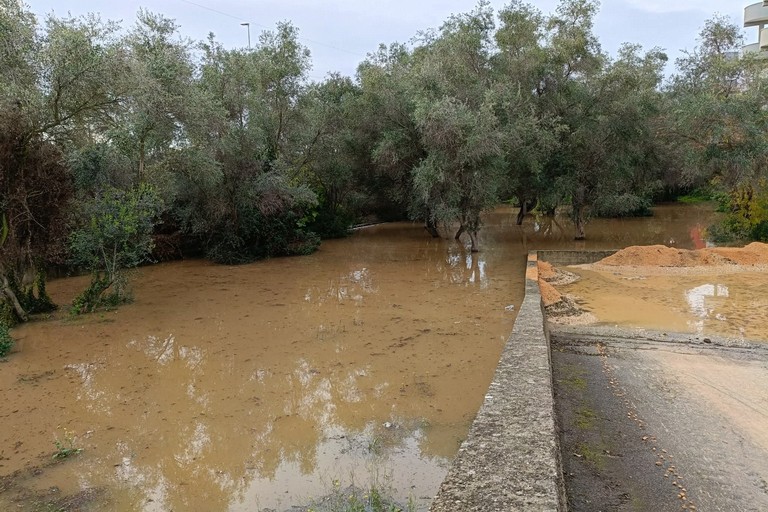 Movimento 5 Stelle Molfetta: «La funzione delle lame è fondamentale»