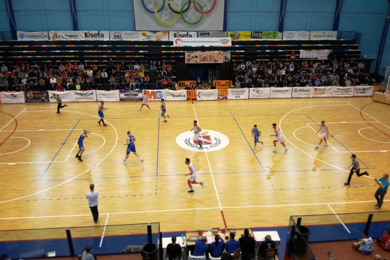Pallacanestro