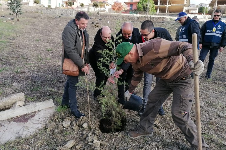 La piantumazione dei 30 alberi in Molise