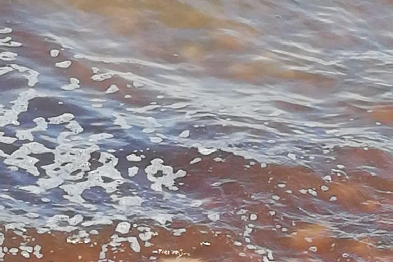 L'acqua putrida a Torre Calderina