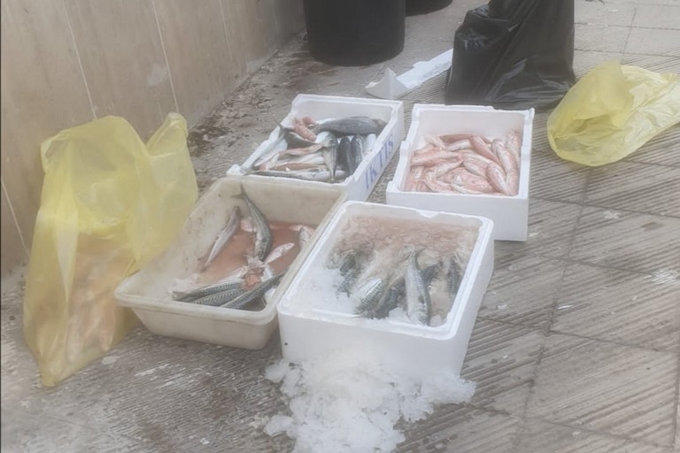 I prodotti ittici sequestrati dalla Polizia Locale