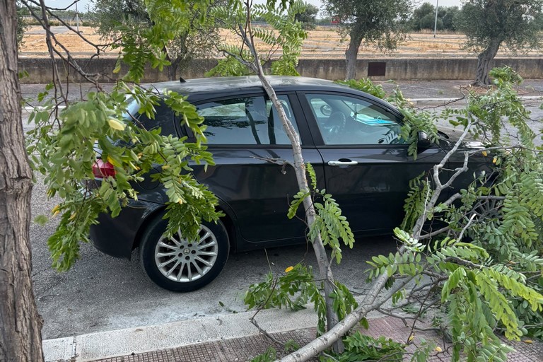 Forte vento a Molfetta: si registrano disagi in città