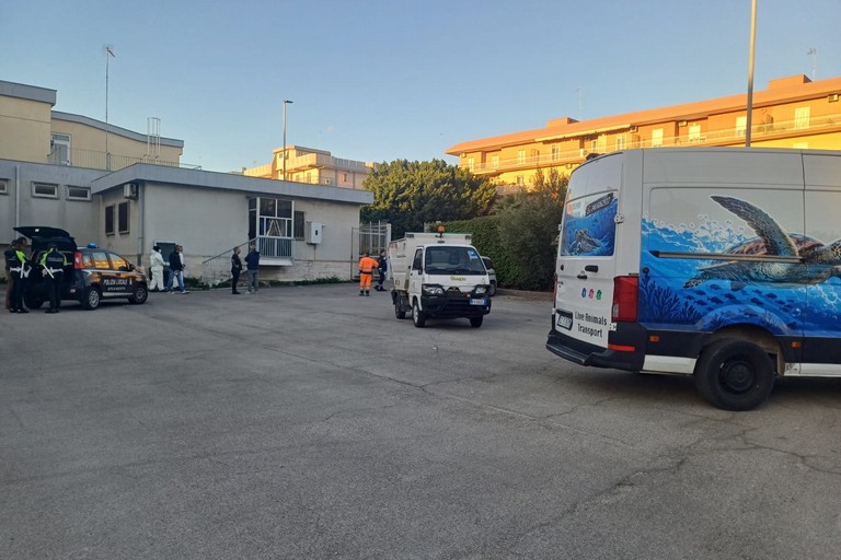 Le operazioni di sgombero della Polizia Locale