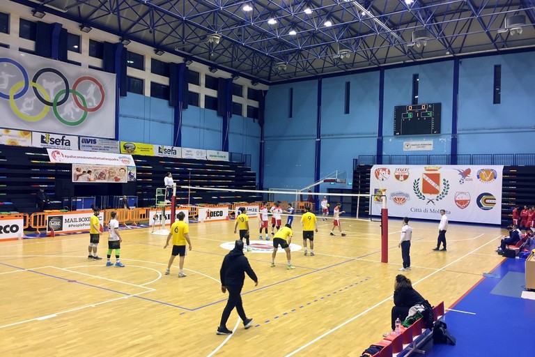 Pallavolo molfetta