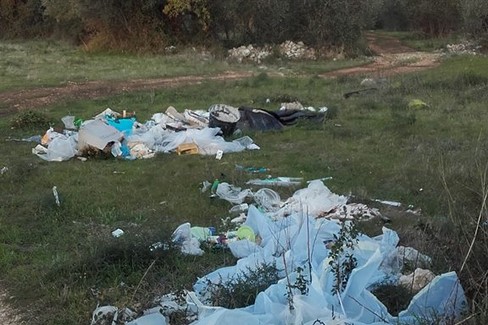 Lama Martina (foto di Comitato di quartiere Madonna della Rosa)