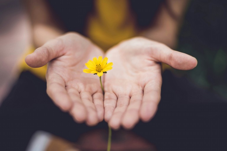 Marcia della non violenza