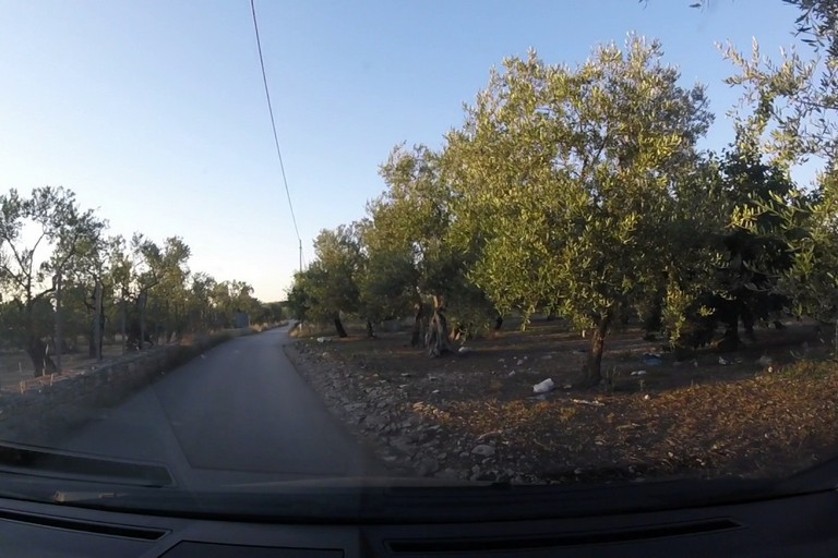 Le campagne di Molfetta