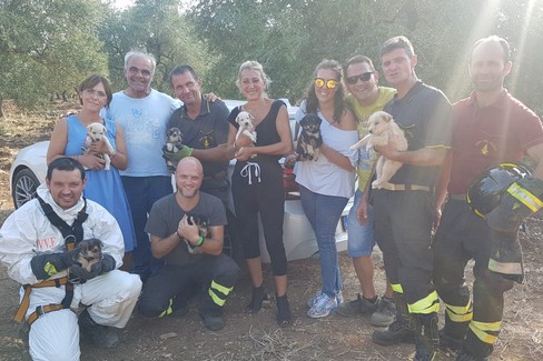 11 cuccioli di cane nel pozzo, salvati da morte certa. Gli eroi sono di Molfetta