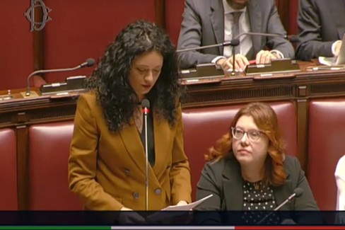 Francesca Galizia - Interpellanza su sostanze chimiche pericolose nei pannolini monouso