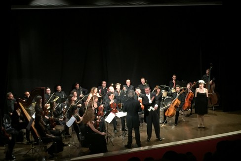 Gran galà dell'operetta. <span>Foto Mariella Spadavecchia</span>