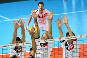 pallavolo molfetta