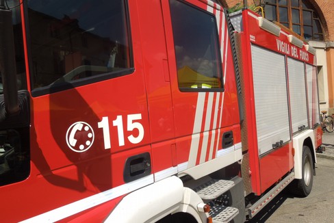 Cucciolo salvato a Terlizzi dai Vigili del Fuoco di Molfetta