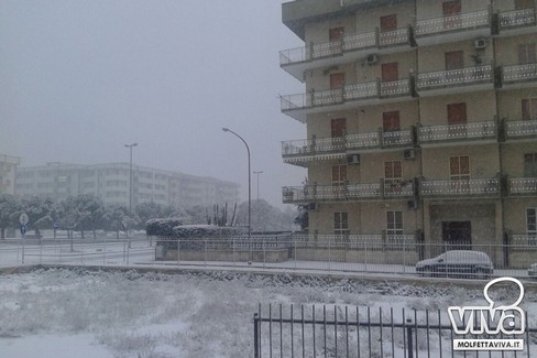 Molfetta neve