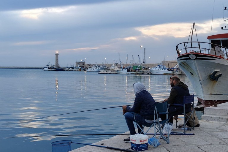 Molfetta Porto. <span>Foto Sara Fiumefreddo</span>