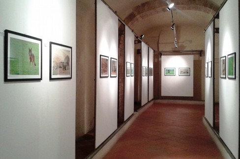 mostra la mia murgia. <span>Foto Isabella de Pinto</span>