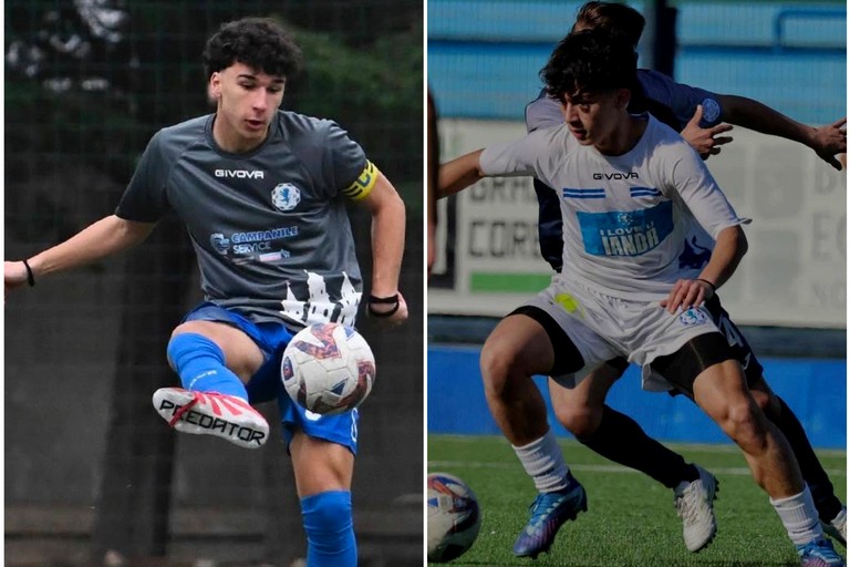 Molfetta Sportiva