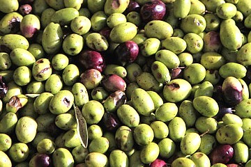 Olive