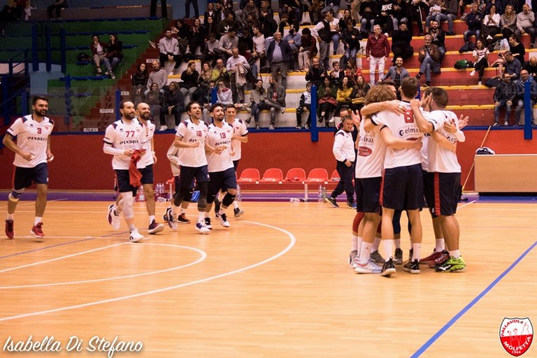 pallavolo molfetta