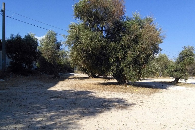 Parcheggio cimitero dopo pulizia