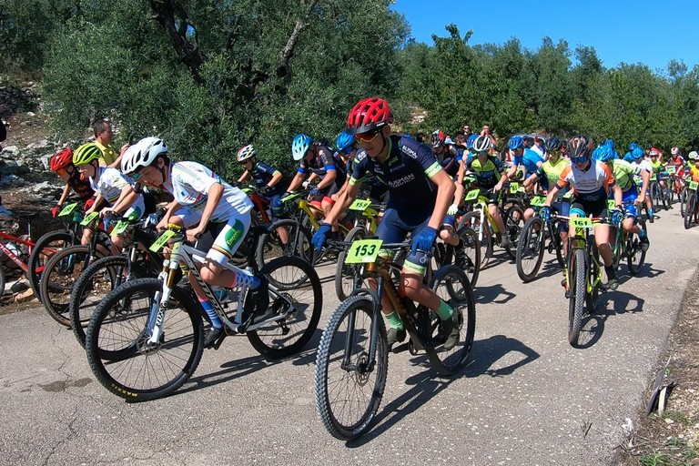 Ciclismo