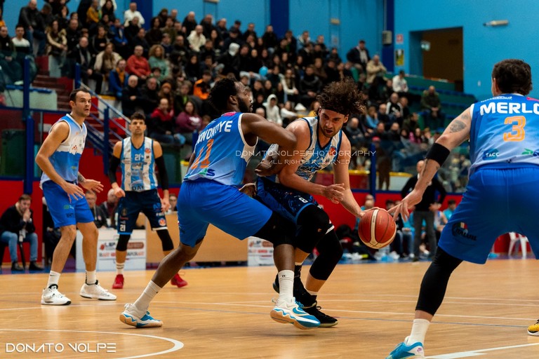 Virtus Basket Molfetta