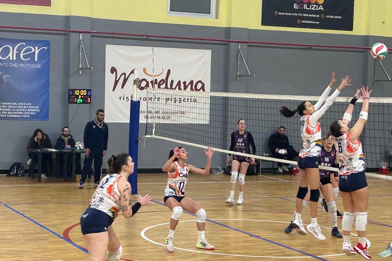 Dinamo Molfetta