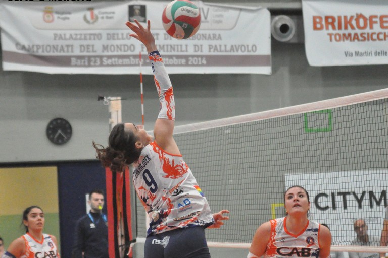 Dinamo Molfetta