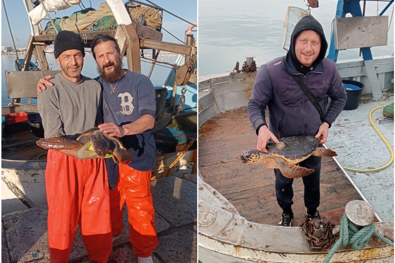 I recuperi del WWF Molfetta