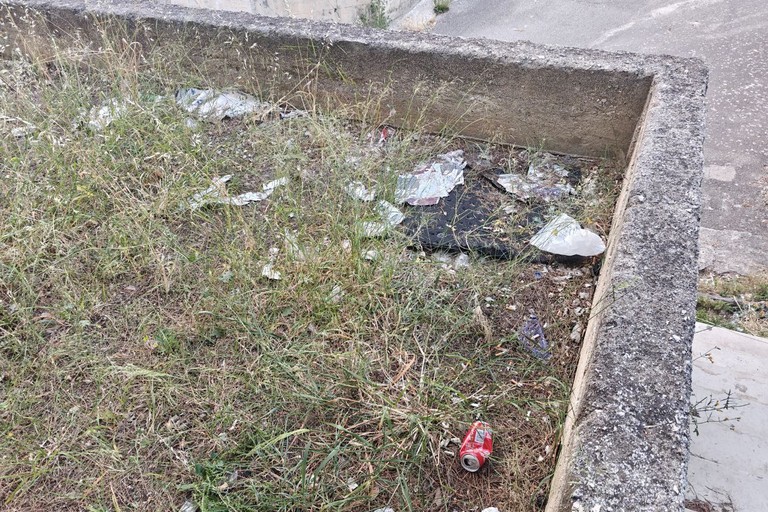 Rifiuti a Molfetta: la segnalazione di un cittadino dal parco di via Gorlitz