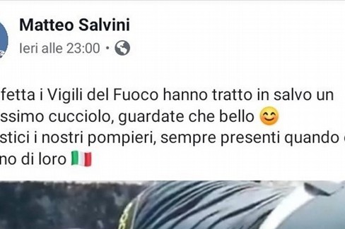 Salvini