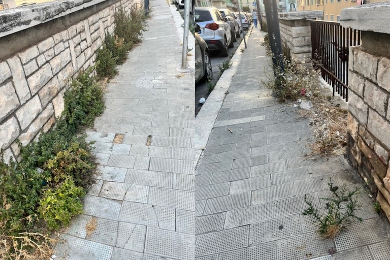 Erbacce in via Puccini. Un cittadino: «Stato di profondo abbandono»