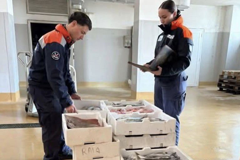 Pesca illegale al largo di Molfetta: sanzioni e sequestri