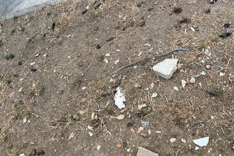 Escrementi canini disseminati in via Zuppetta