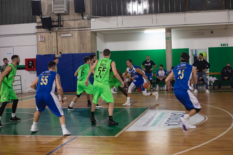 virtus basket molfetta