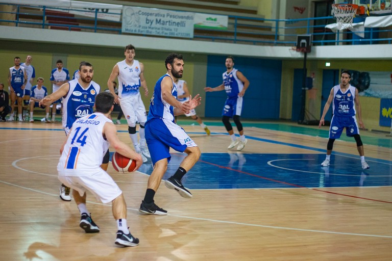 Virtus Basket Molfetta