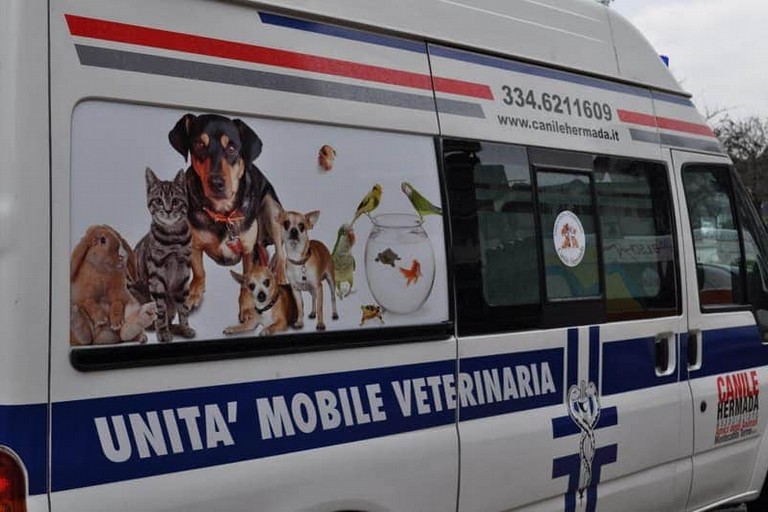 Unità mobile veterinaria