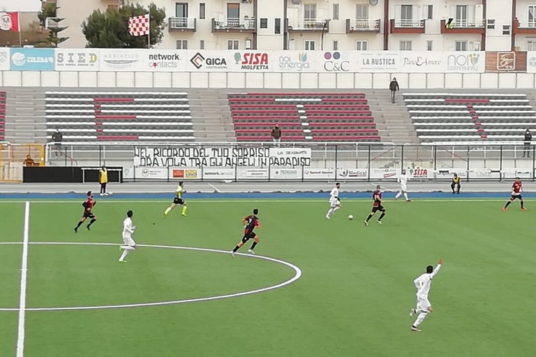 Molfetta Calcio