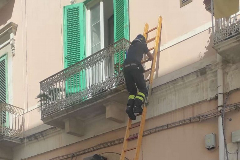 Vigili del Fuoco