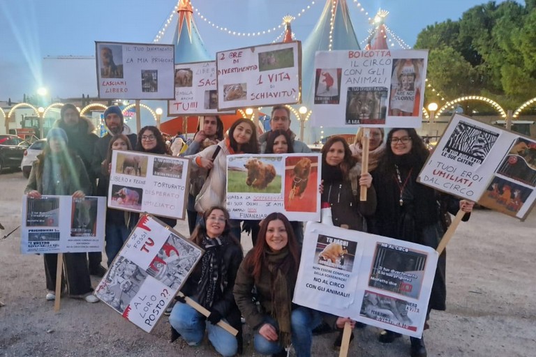 Le associazioni animaliste contro il circo