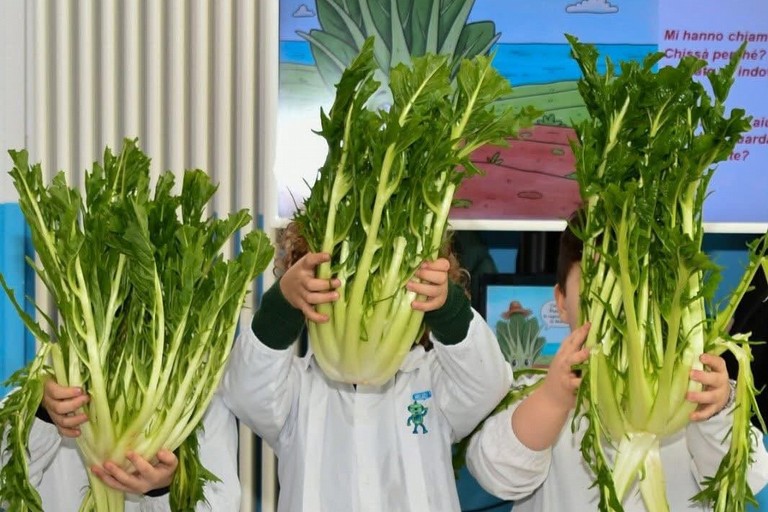 Cicoria Puntarelle Molfettese arriva a scuola