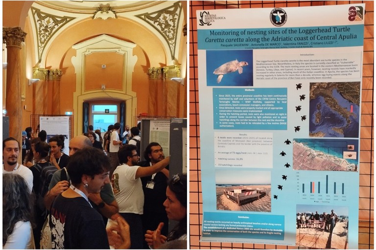 Il Centro Recupero Tartarughe Marine di Molfetta protagonista al convegno nazionale dell’erpetologia